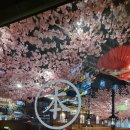 [김해 주촌 술집] 분위기 좋은 본야끼카야 주촌점