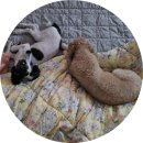 아요하우스 이미지