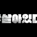 진주만두 - 춘천시 금강로 89 | 진주만두