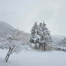 정우성농장 이미지