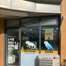 별을보는돔하우스 | 시흥 파충류샵 도마뱀라이프&amp;앵무새하우스 시흥은계점 방문 후기