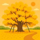 신목 공용주차장 | 단 5일만 볼 수 있는 황금 융단 원주 반계리 은행나무 절정시기 공개!