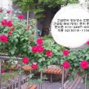 (주)기성건설 이미지