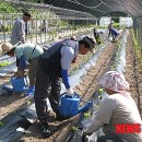 석화2리 이미지