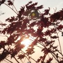 최용우한의원 이미지