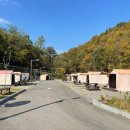 행복한 쉼터&문화공간 나무그늘 | [세종 세종특별자치시] 전월산국민여가캠핑장