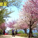 성머리 네이버블로그