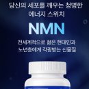 네이츄리