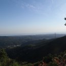 장덕고개 이미지