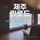 올레길카페 | 제주 조천읍 올레길 18코스 오션뷰 애견동반 카페 링로드 방문 후기