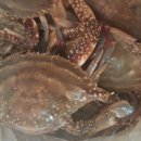 나로 in 해 이미지