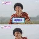 e-보건소 산전검사 / 장스여성병원 산전검사 후기