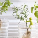 지혜로운생활연구소 이미지