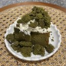 카페체리쉬(Cafe cherish) | [광주/서구] 치평동 카페 체리쉬