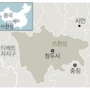 진면목 이미지