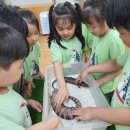 바다유치원 이미지