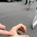 짜증을 내어서 무얼하나