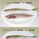 대해냉동 이미지
