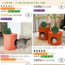 개와 집사의 시간 | [가낳지모 켓페어] 다묘 집사의 오픈런 26년 방문 후기