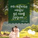 조은태양광발전소 이미지