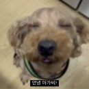 종민농장 | 😂