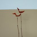 솟대 - 종로구 종로 336 | 솟대