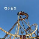 경주여행 경주월드 파에톤 드라켄 기념품샵 먹거리 주차 주말 방문 후기