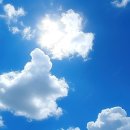 구름위의고양이 이미지