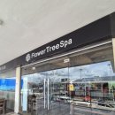 세부마사지 픽드랍가능 0.5박 시간 보내기 좋은 플라워트리스파 후기