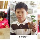 허브꿈터