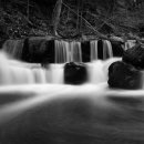 세한대학교 이미지