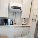 마냥귀엽개 이미지