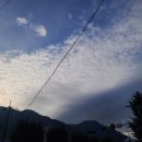 세인부동산중개사무소 이미지