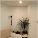 더씨쇼어풀빌라 이미지