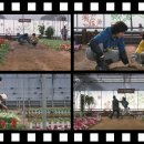 정재영농장 이미지