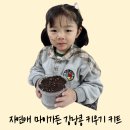 자연애 마이가든 저면관수 화분 강낭콩 키우기 키트