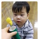 트니트니 키즈챔프3 이미지