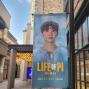 효심라이프 | 라이프 오브 파이 부산 박강현 후기 드림씨어터 주차 좌석 시야