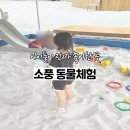 양평 아이랑 가볼만한곳｜용문 신상 동물체험농장 소풍 후기