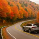 가을여행 이미지