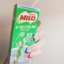 코타키나발루 여행기 -2-