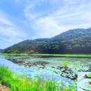 대평공원 이미지