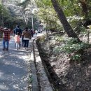 투어라인여행사 이미지