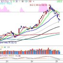 쌍봉시장 이미지