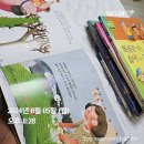 성플 이미지