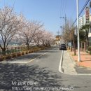 한양왕족발복어 이미지