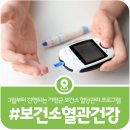 설악면보건지소 | [가평보건소 건강프로그램] 내 손안 100세, 혈관건강프로그램 자가혈당관리 신청·이용방법 총정리(2026)