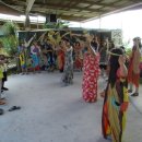 코코넛19 이미지