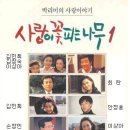 [1987년~1991년] KBS 청소년 드라마 &#34;사랑이 꽃피는 나무&#34; 1기 - 제117회 돌아온 장고 (1989/11/29) 이미지