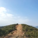 제주오름수산